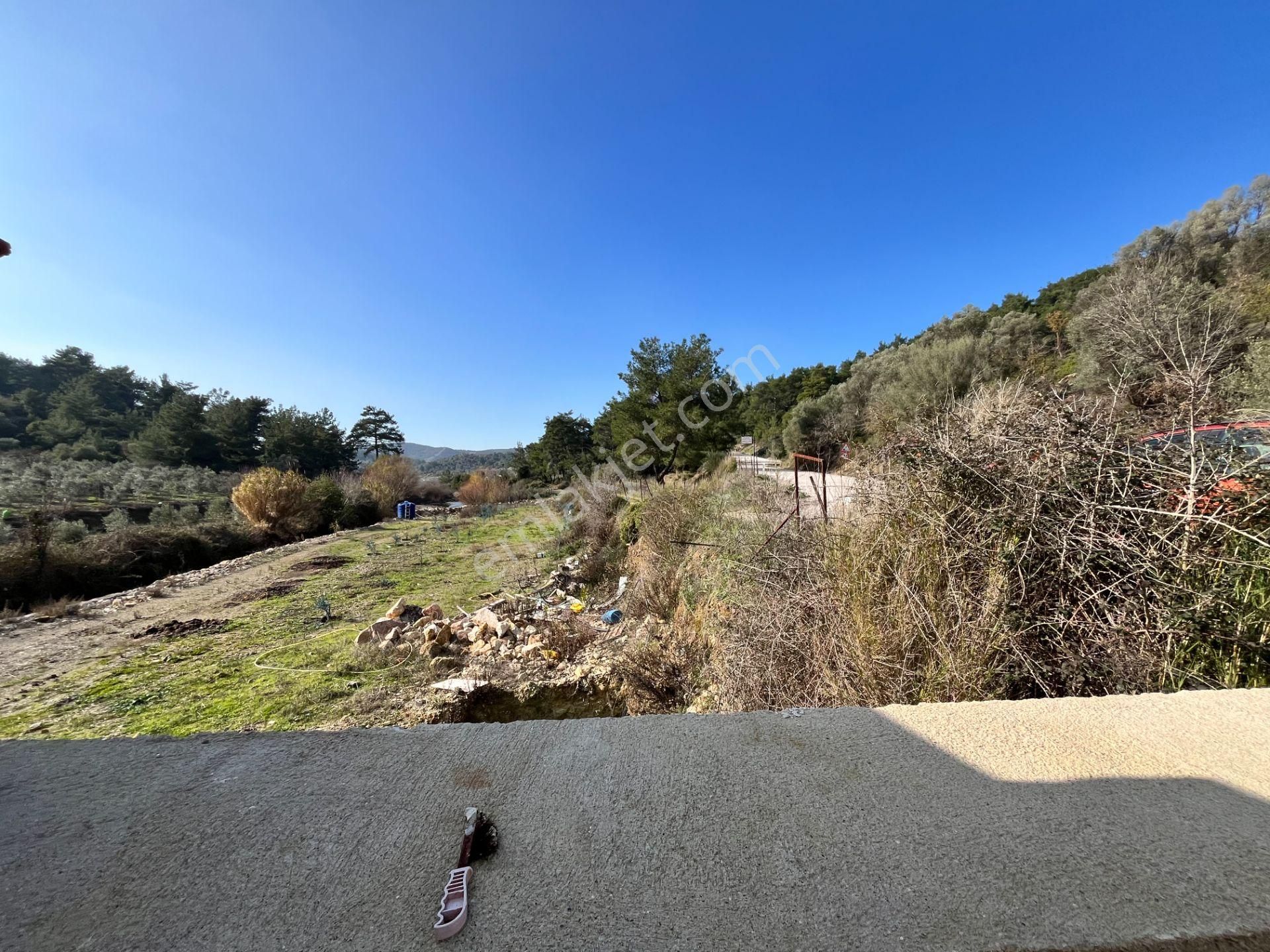 Kavakdere’de 1800 M² Arsa İçinde Taş Ev Ve Zeytinlik - Görsel 19