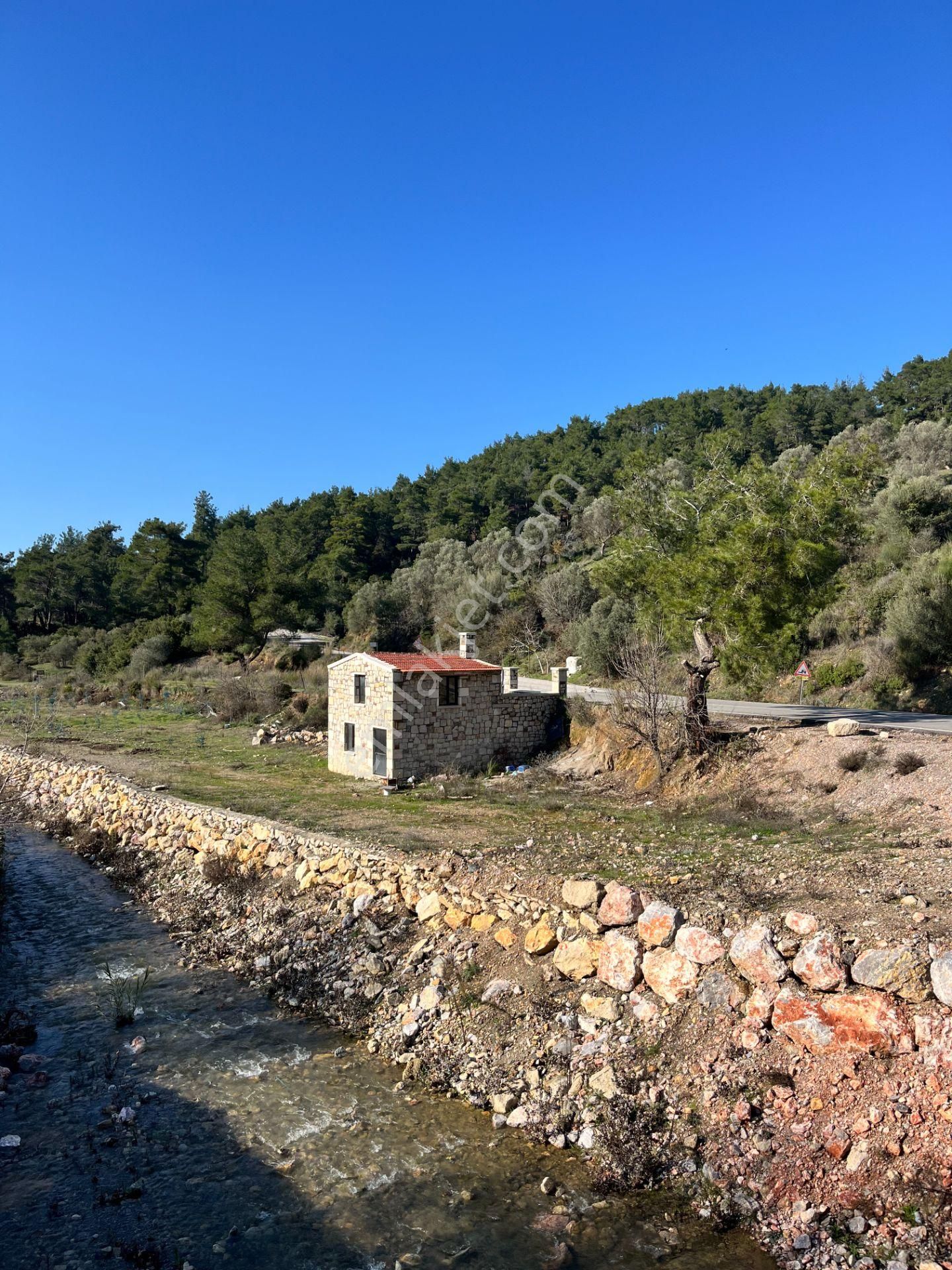 Kavakdere’de 1800 M² Arsa İçinde Taş Ev Ve Zeytinlik - Görsel 3