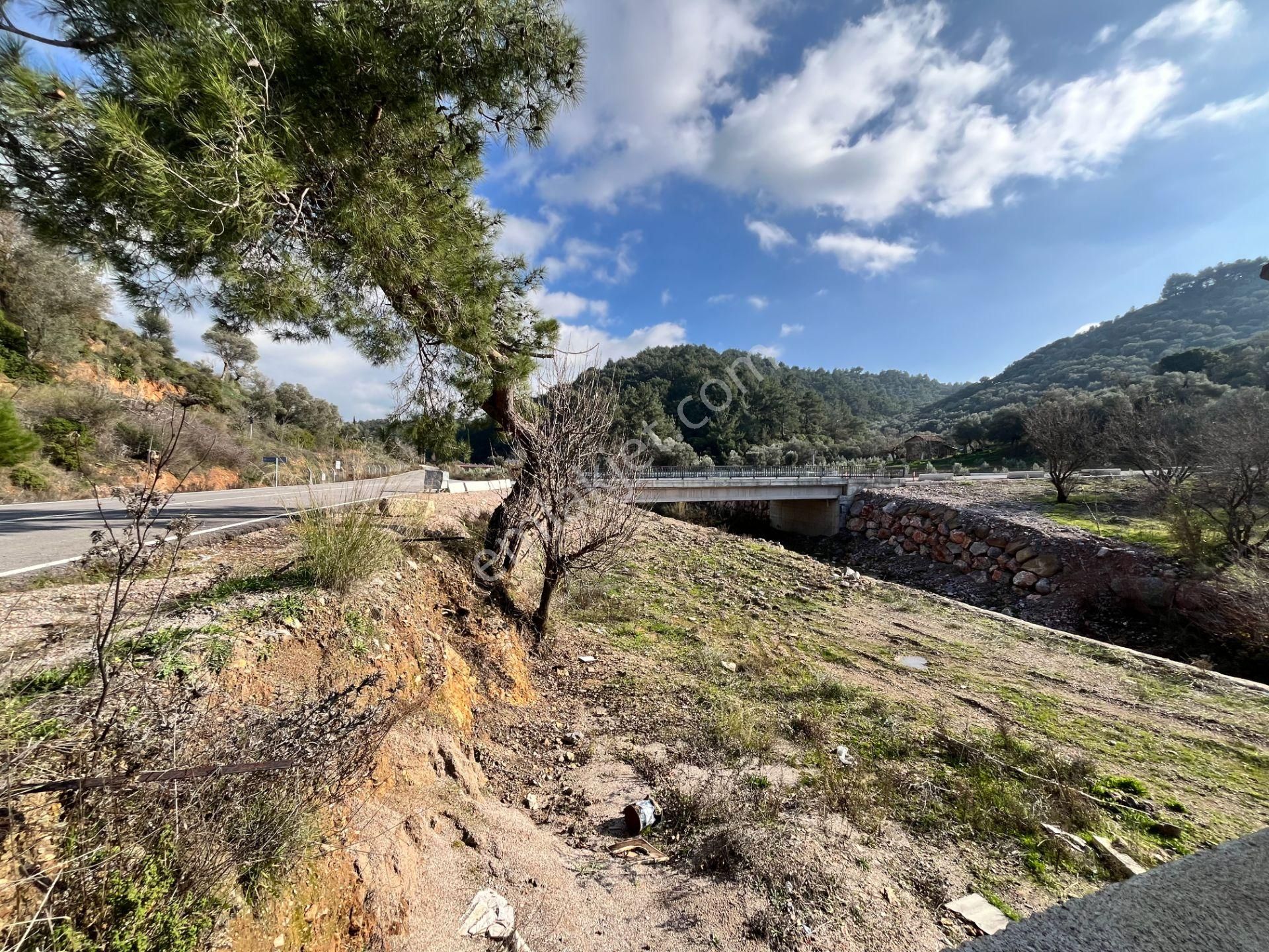 Kavakdere’de 1800 M² Arsa İçinde Taş Ev Ve Zeytinlik - Görsel 18