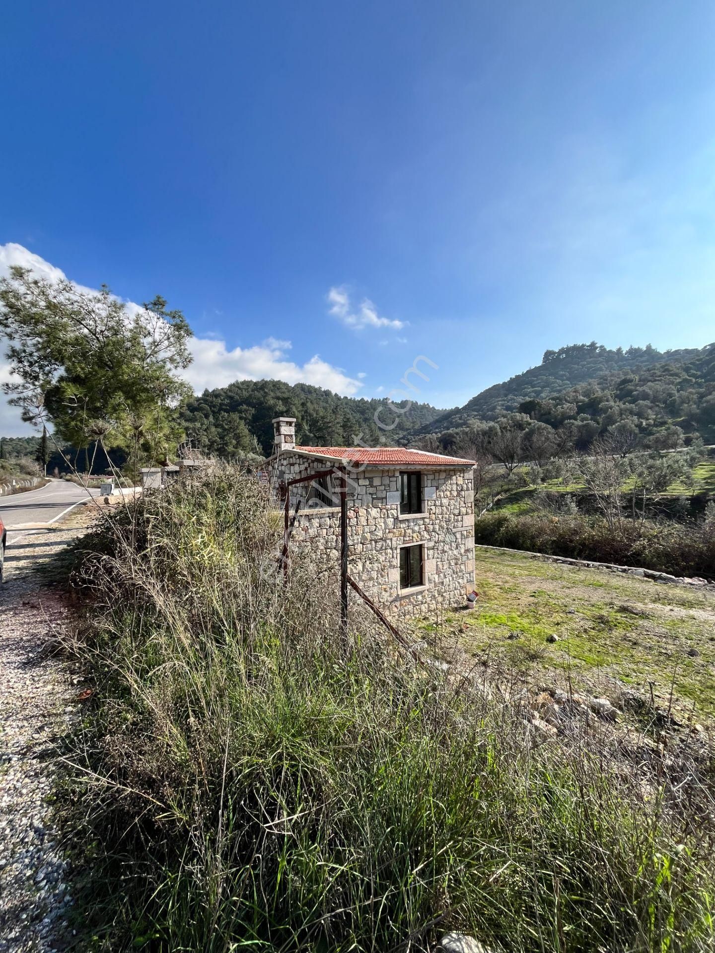 Kavakdere’de 1800 M² Arsa İçinde Taş Ev Ve Zeytinlik - Görsel 5