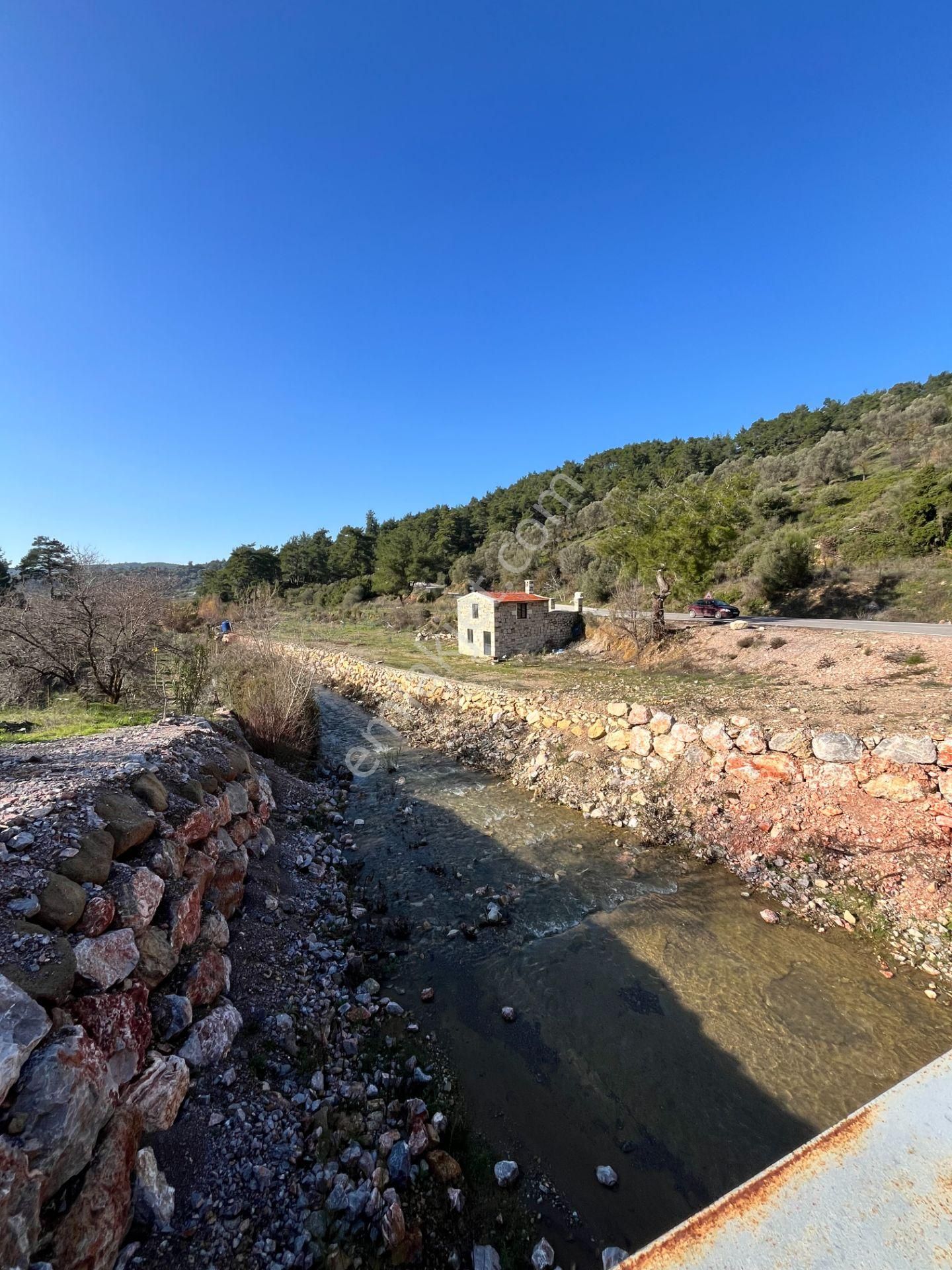 Kavakdere’de 1800 M² Arsa İçinde Taş Ev Ve Zeytinlik - Görsel 8