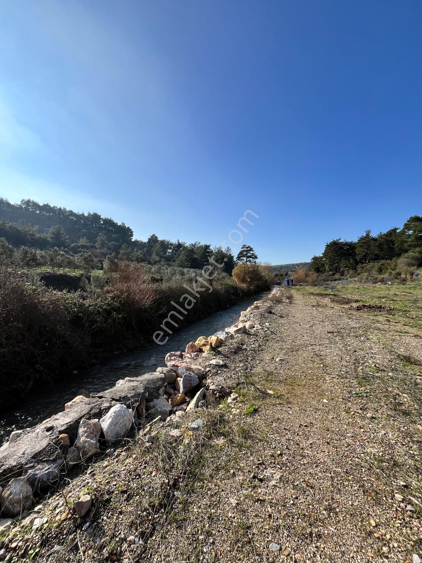 Kavakdere’de 1800 M² Arsa İçinde Taş Ev Ve Zeytinlik - Görsel 16