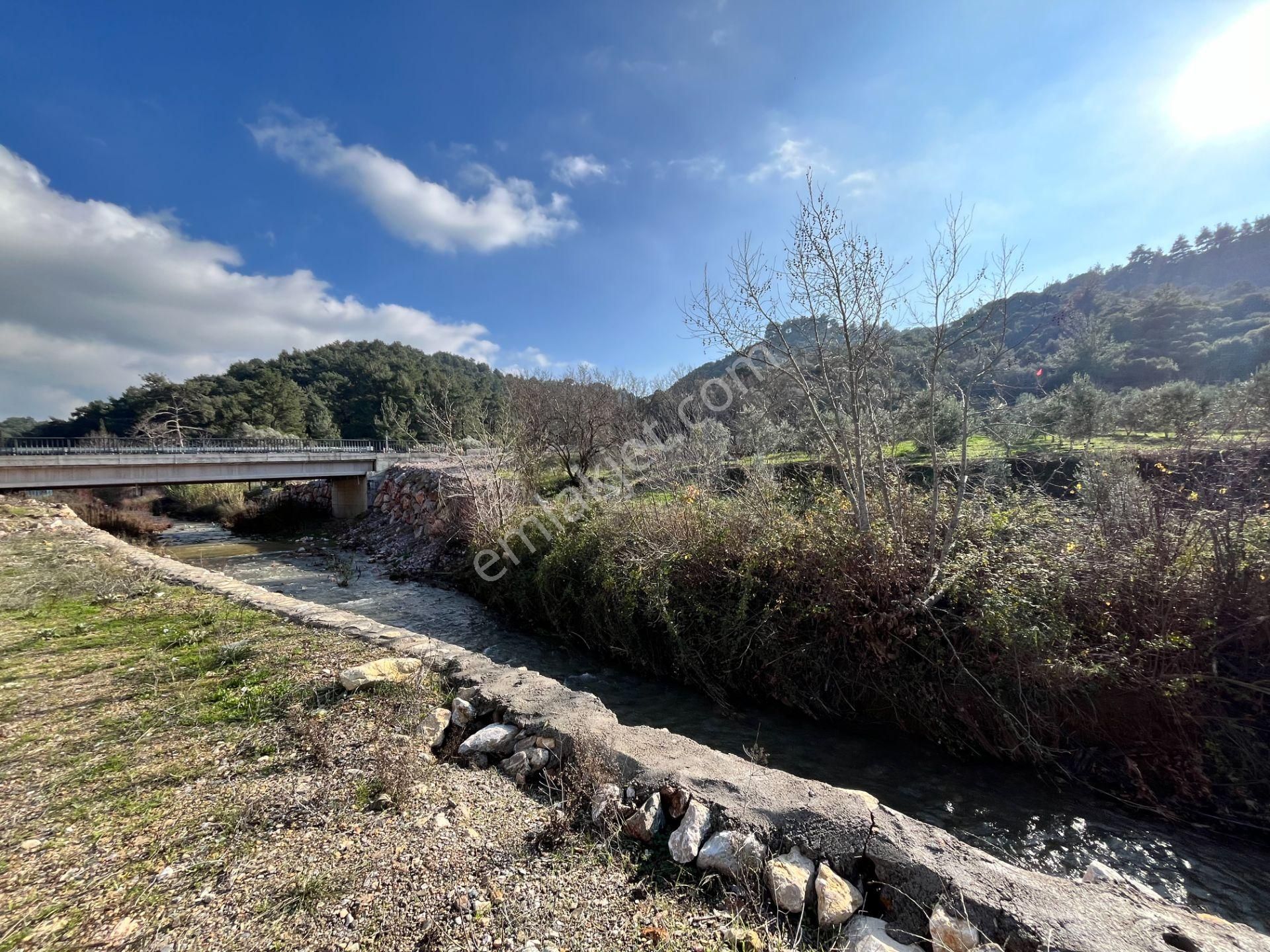 Kavakdere’de 1800 M² Arsa İçinde Taş Ev Ve Zeytinlik - Görsel 13