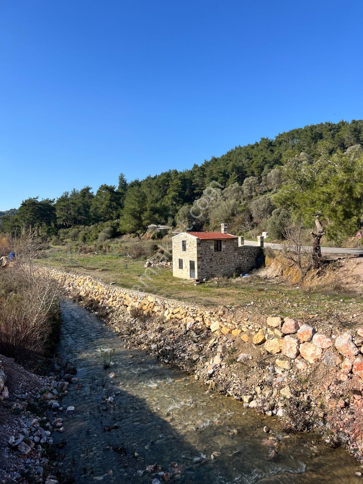 Kavakdere’de 1800 M² Arsa İçinde Taş Ev Ve Zeytinlik - Görsel 4