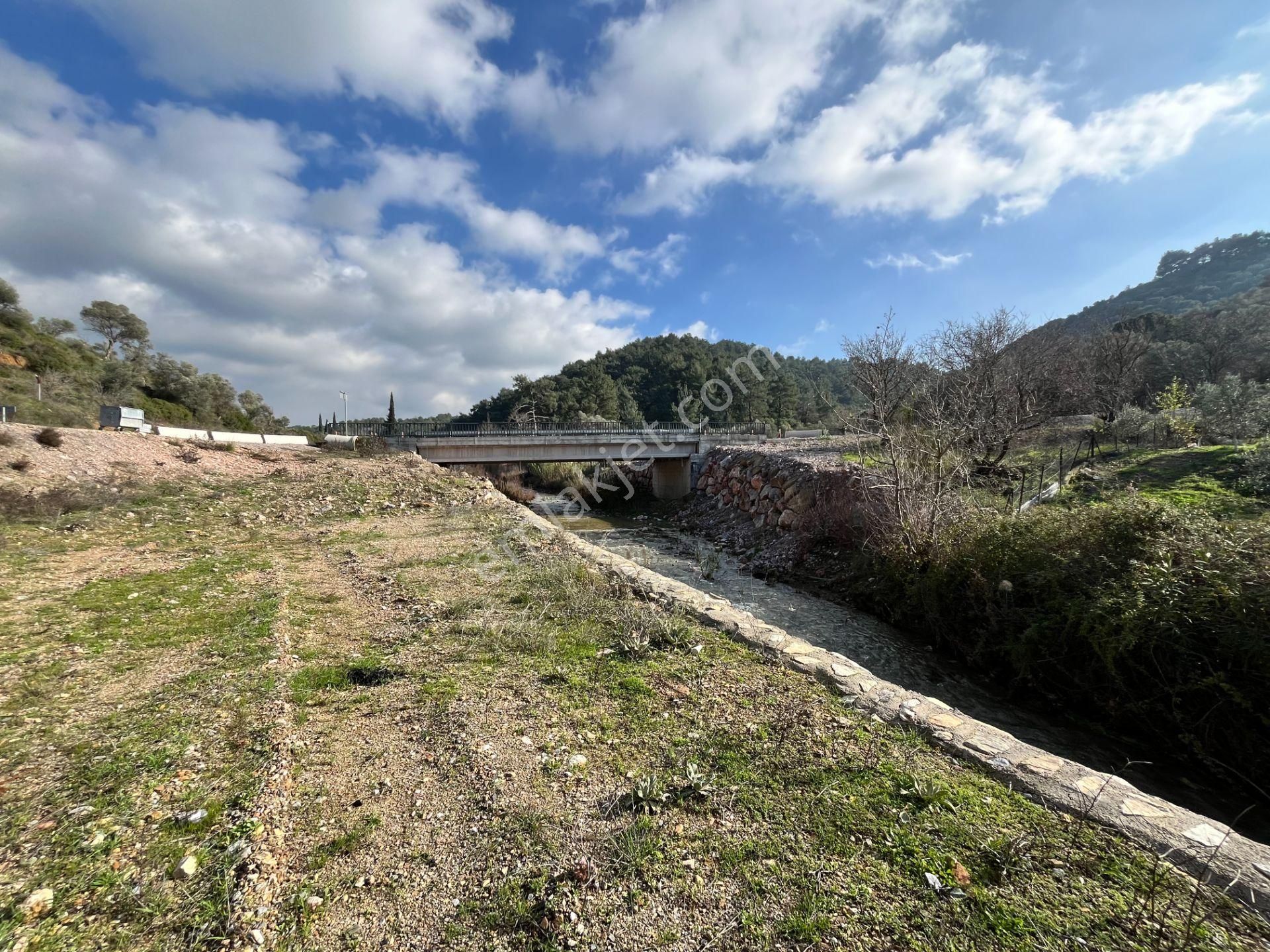 Kavakdere’de 1800 M² Arsa İçinde Taş Ev Ve Zeytinlik - Görsel 14