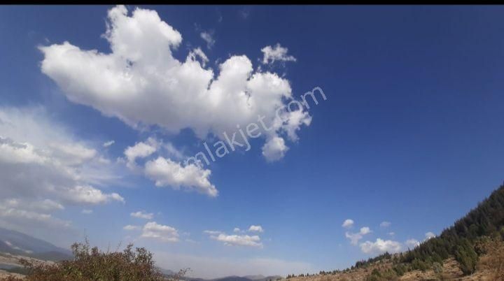 Göksun Gücüksu Satılık Tarla Panoramavi Den Ana Yola Cepheli Uygun Arazi.