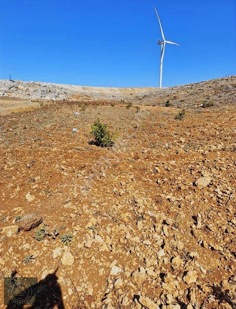 Mut Gökçetaş Satılık Tarla Mersin Mut Gökçetaş'ta Satılık Ceviz Bahçesi