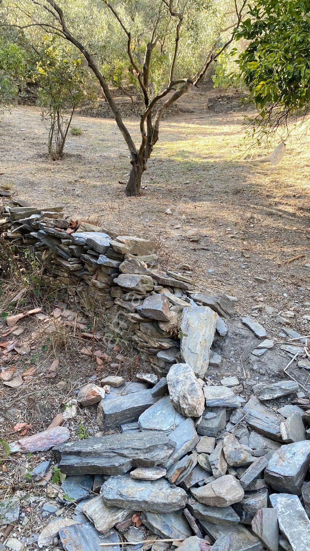 Bölgenin En Değerli Lokasyonu - Görsel 7
