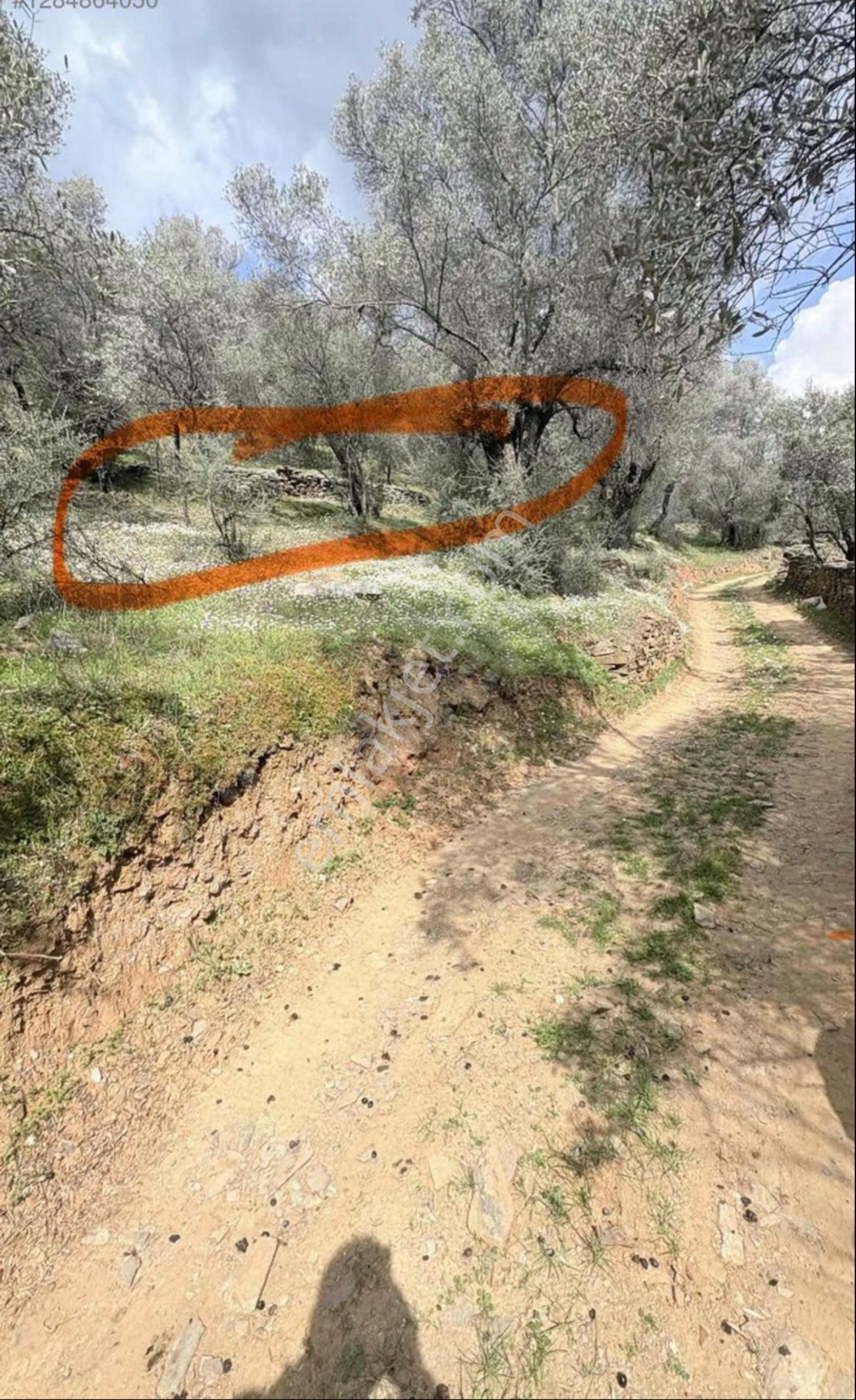 Bölgenin En Değerli Lokasyonu