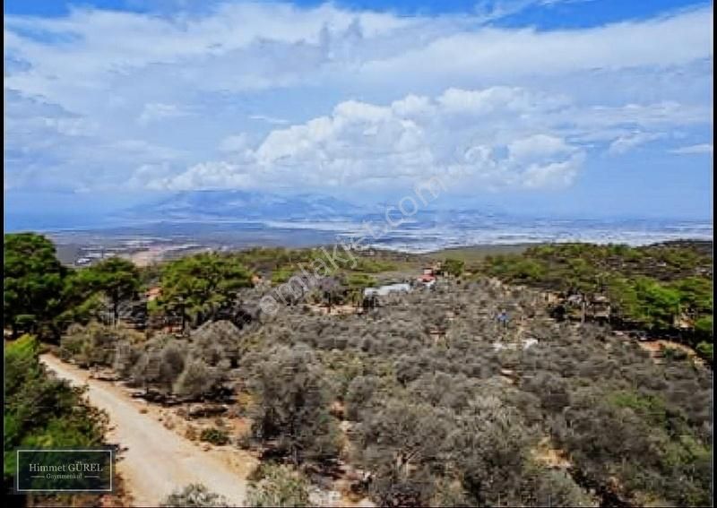 Kaş Gelemiş Satılık Tarla Gelemiş Bölgesi Satılık (873 M2) Villa Arazisi