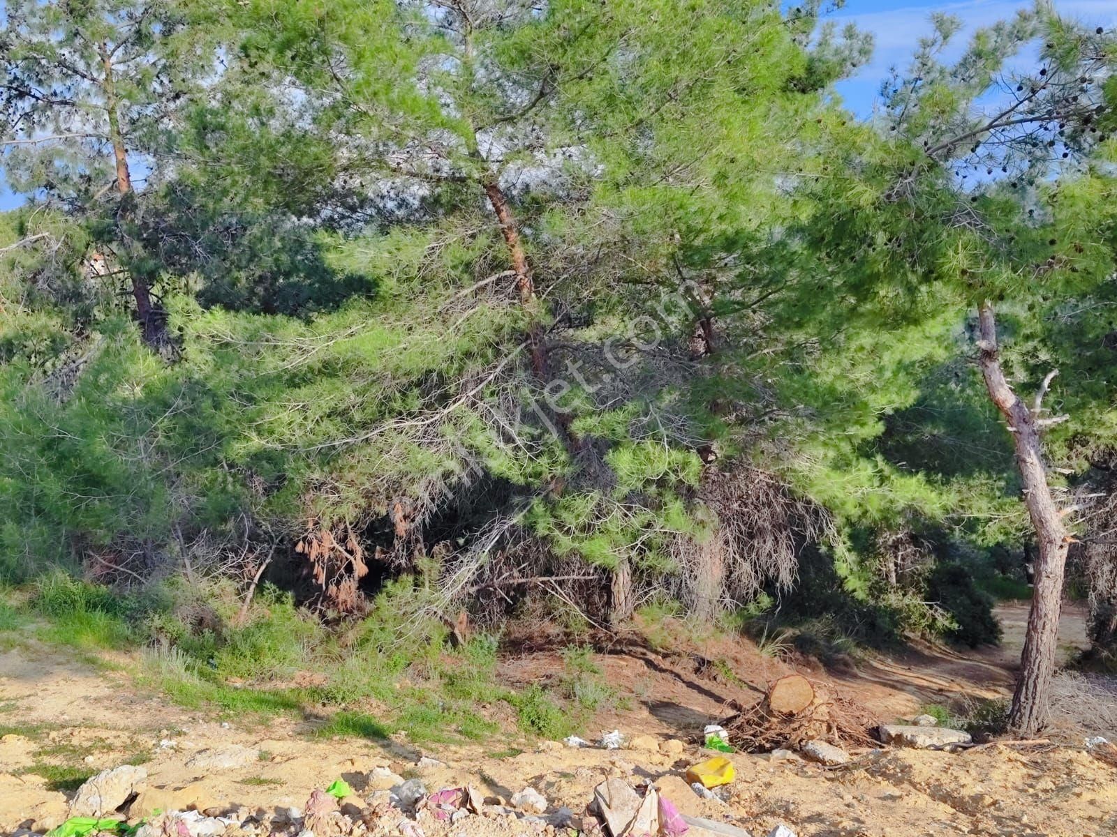 Kuşadası Soğucakta Villa İmarlıkose Konum Deniz Manzaralı 220m2 Arsa - Görsel 3