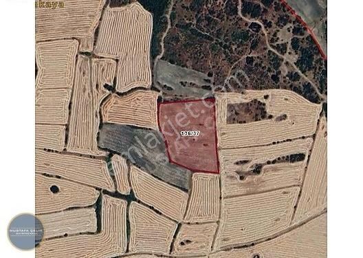 Lalapaşa Büyünlü Köyü Satılık Tarla Edirne Lalapaşa Büyünlü Köyü 12.662,35 M² Satılık Tarla