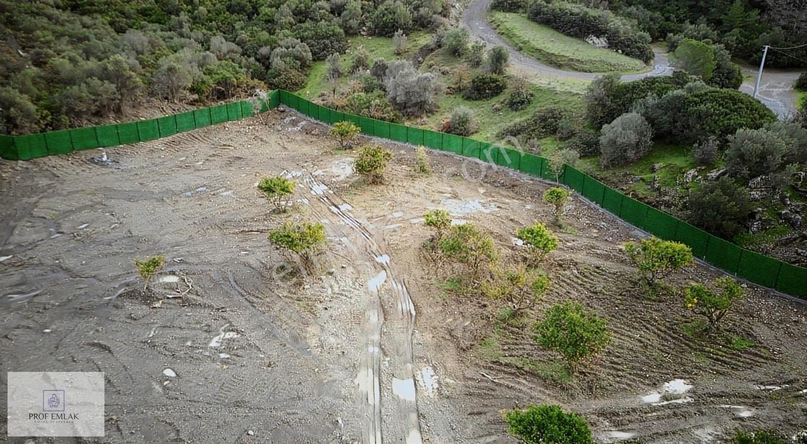 Ormanın Dibinde Kelepir Arsa - Görsel 11