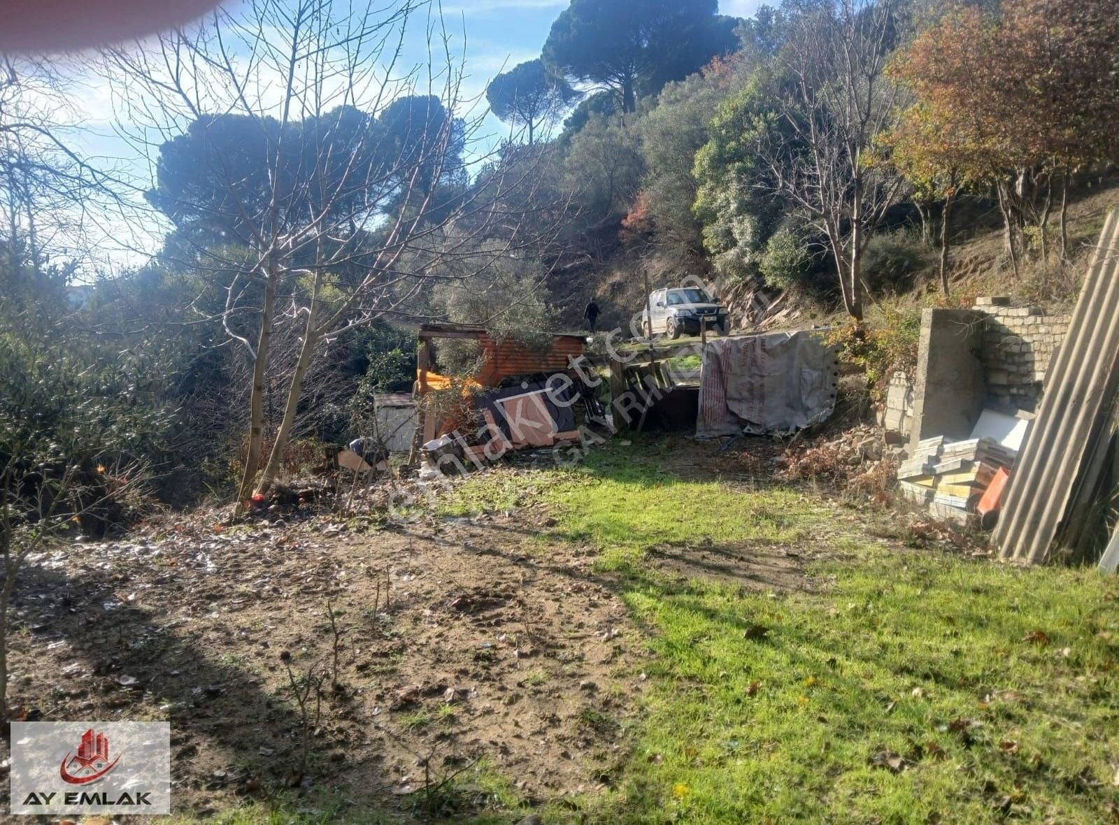 Armutlu Bayır Satılık Zeytinlik Ay Emlak'tan Armutlu Yılandar Mevkii İçinde Evi Olan Zeytinlik