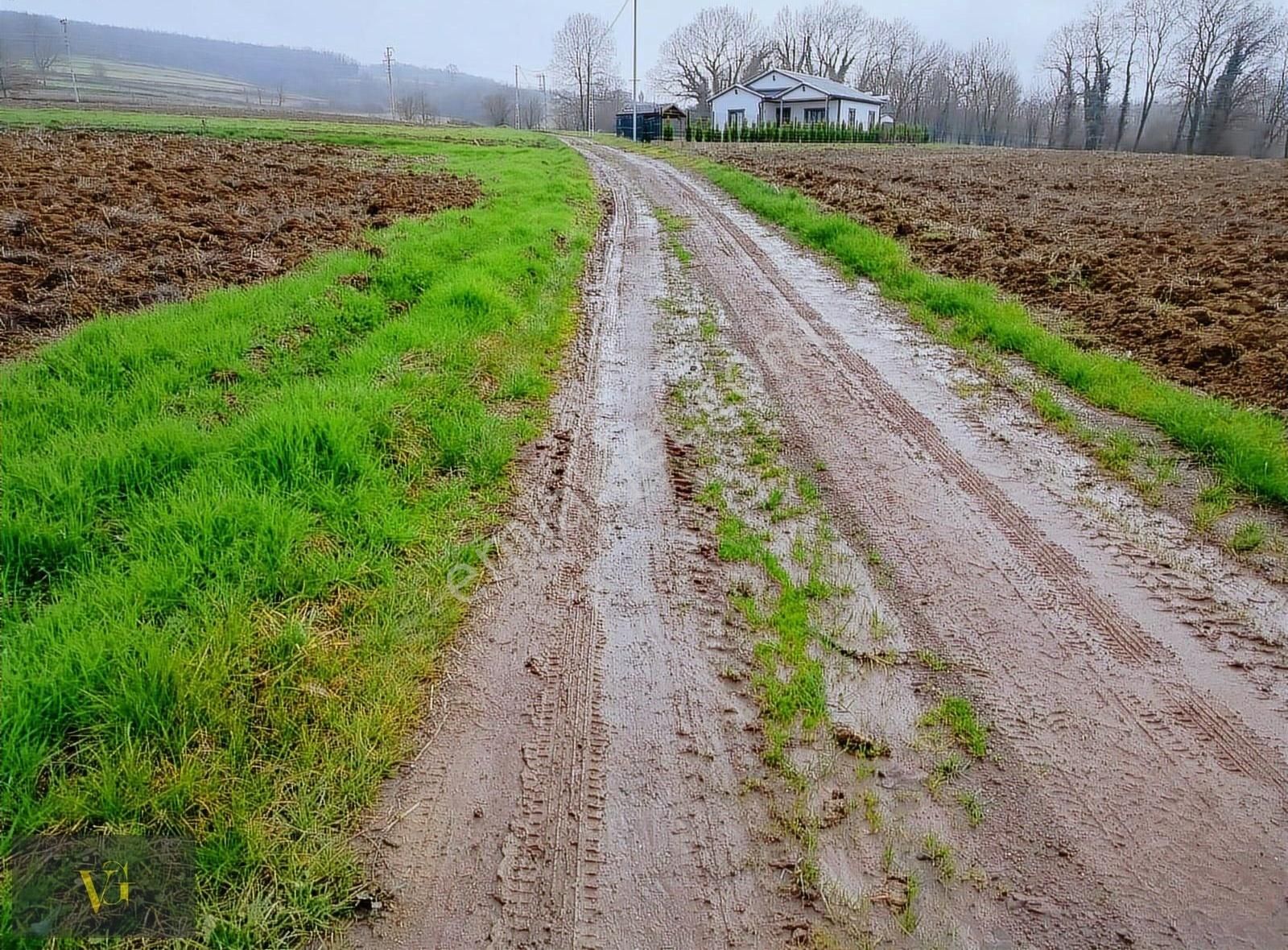 Adapazarı Kayrancık Satılık Tarla Kayrancık'ta Doğa İle İç İçe Yolu Olan Tarla