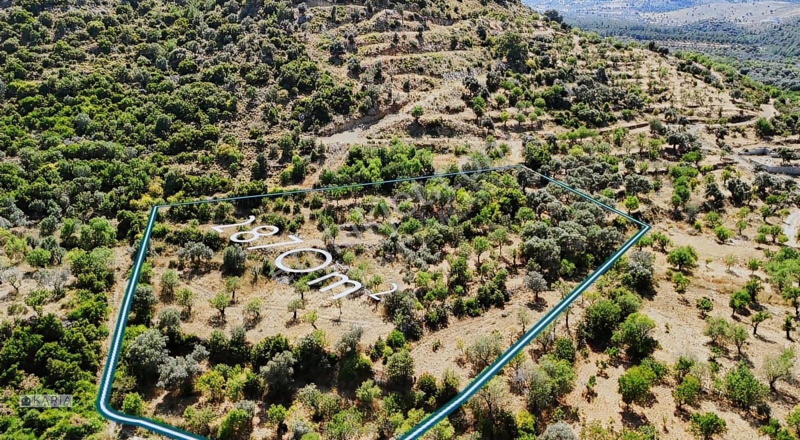 Datça Hızırşah Satılık Tarla Kw Adanır Re | Hızırşah Da Doğanın Kalbinde Bir Yatırım 2870m2