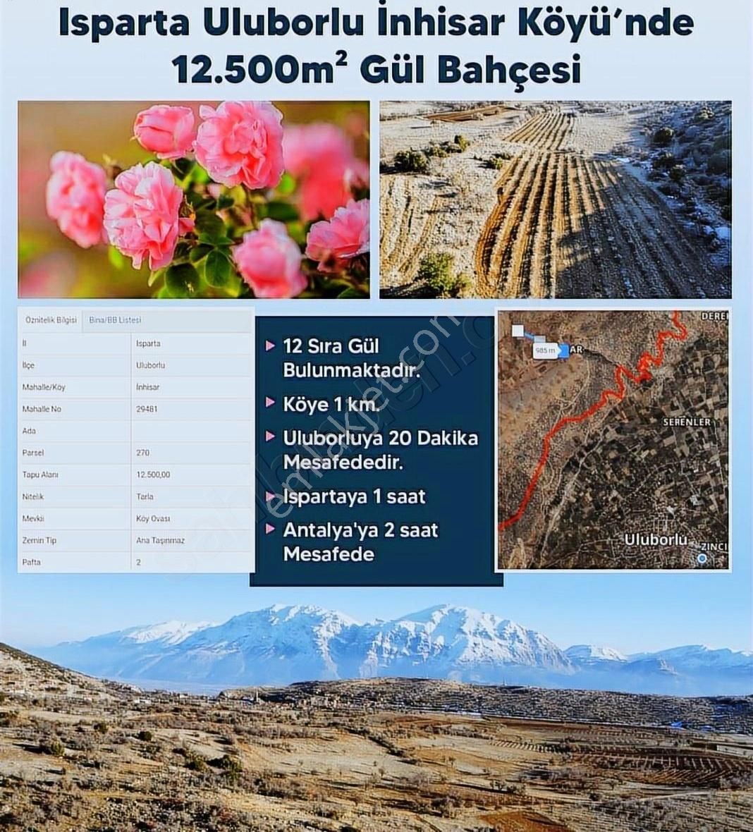 Uluborlu İnhisar Köyü Satılık Tarla Yılın Fırsat Gül Bahçesi