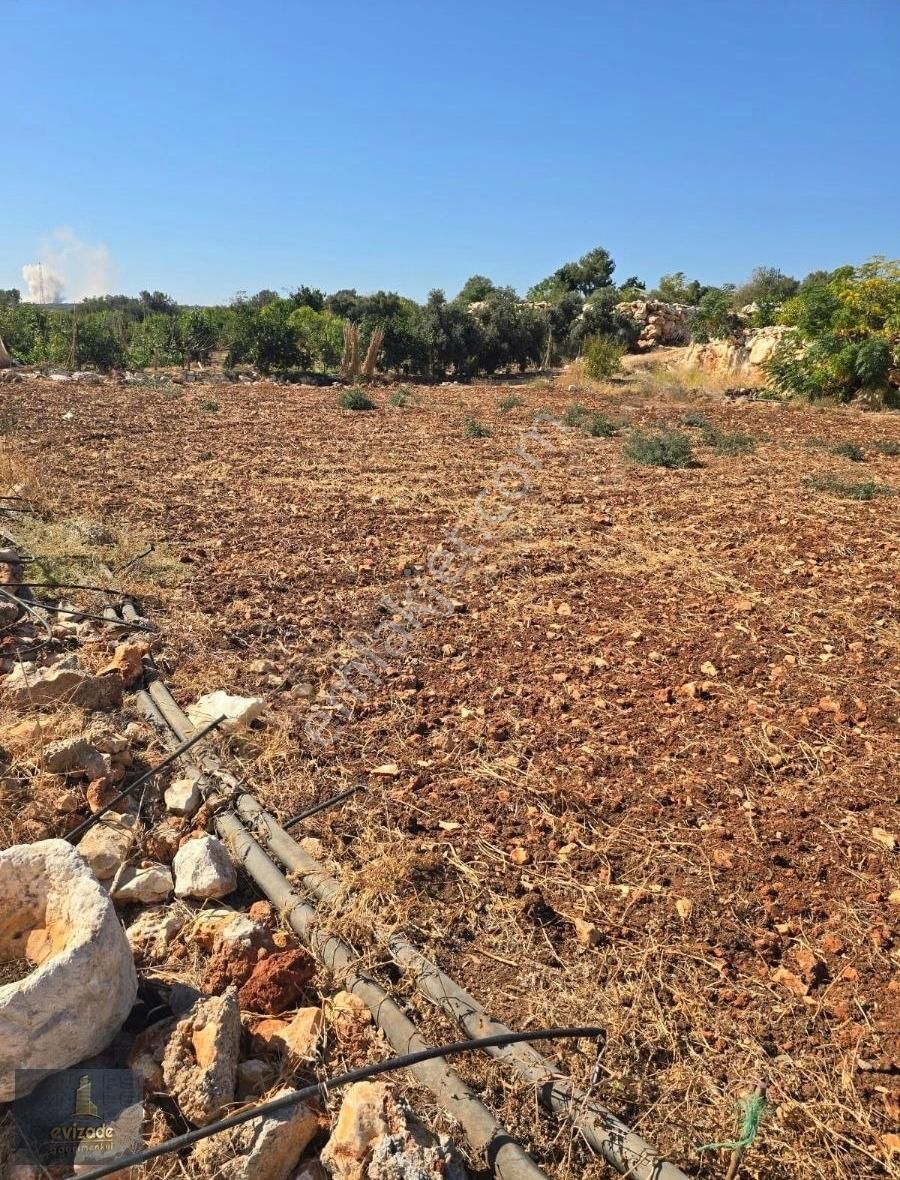 Erdemli Tırtar Satılık Konut İmarlı Mersin Erdemli Tırtar Satılık 4 Dönüm Deniz Manzaralı Arazi