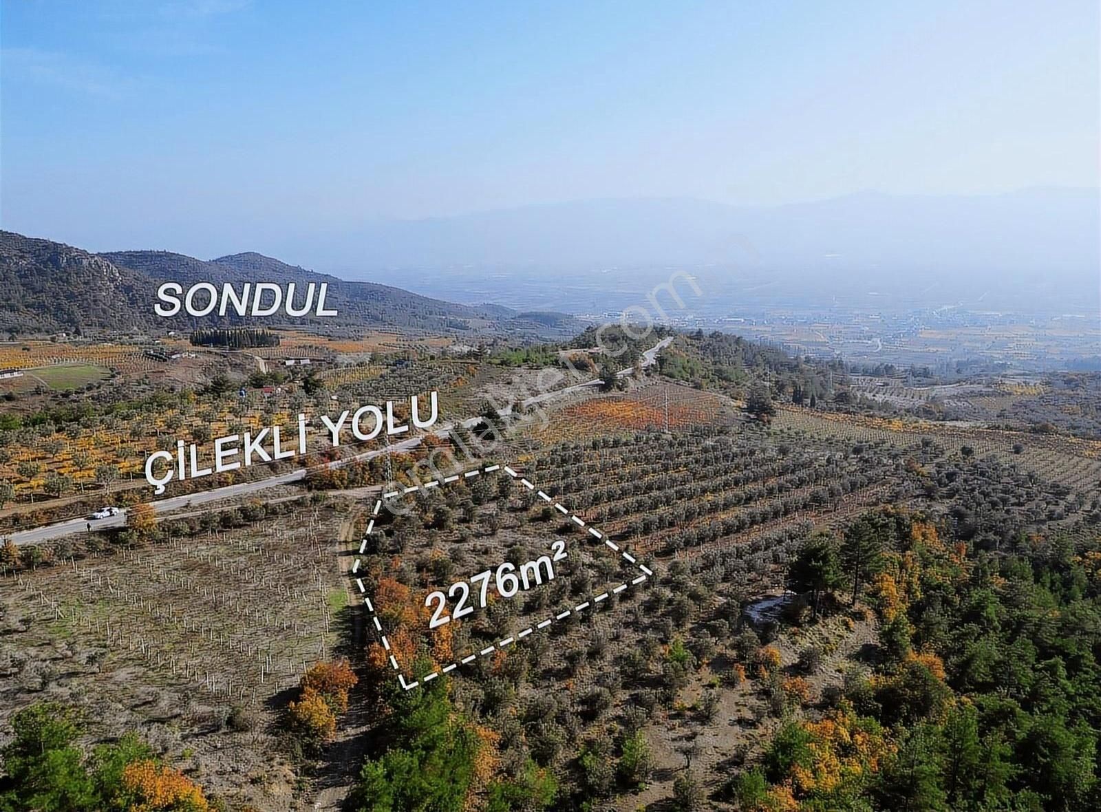 Pamukova Pınarlı Da Muhteşem Konumda Köşe Parsel Zeytin Bahçesi - Görsel 12