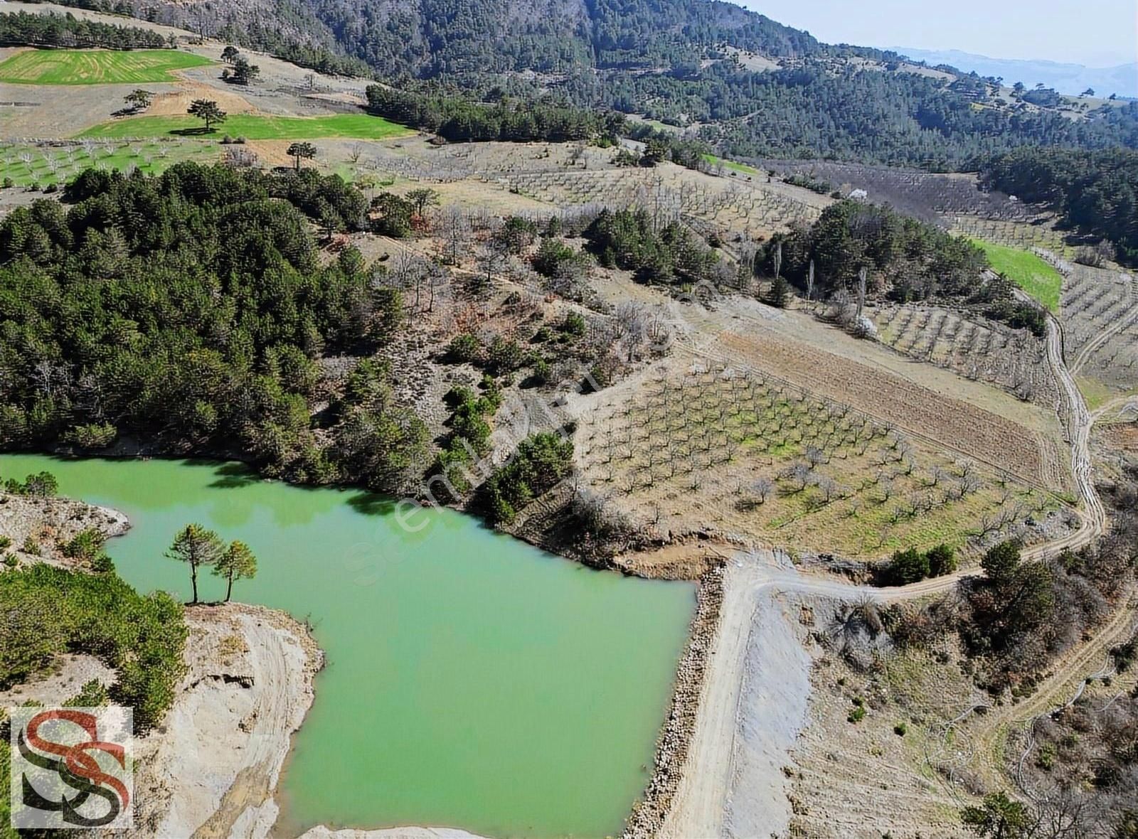 Geyve Çine Satılık Tarla Geyve Çine Mahallesi Muhteşem Konumda 7.826 M² Yatırımlık Tarla