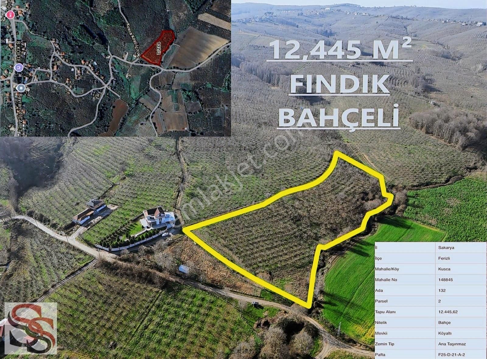 Ferizli Kusca Satılık Bağ & Bahçe Ferizli Kusca Mahallsi Resmi Yol Cepheli 12,445m² Fındık Bahçesi