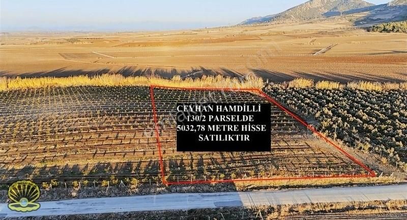 Ceyhan Hamdilli Satılık Tarla Ceyhan Hamdilli Yol Üstü Yerleşim Yerine Yakın Satılık Tarla