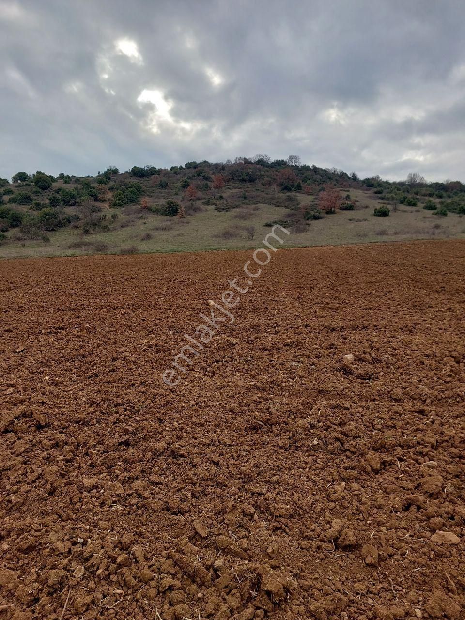 Bursayenişehir Dereköy,de Acil Satılık Yolusuyu Olan 9350m2 Tarla - Görsel 10