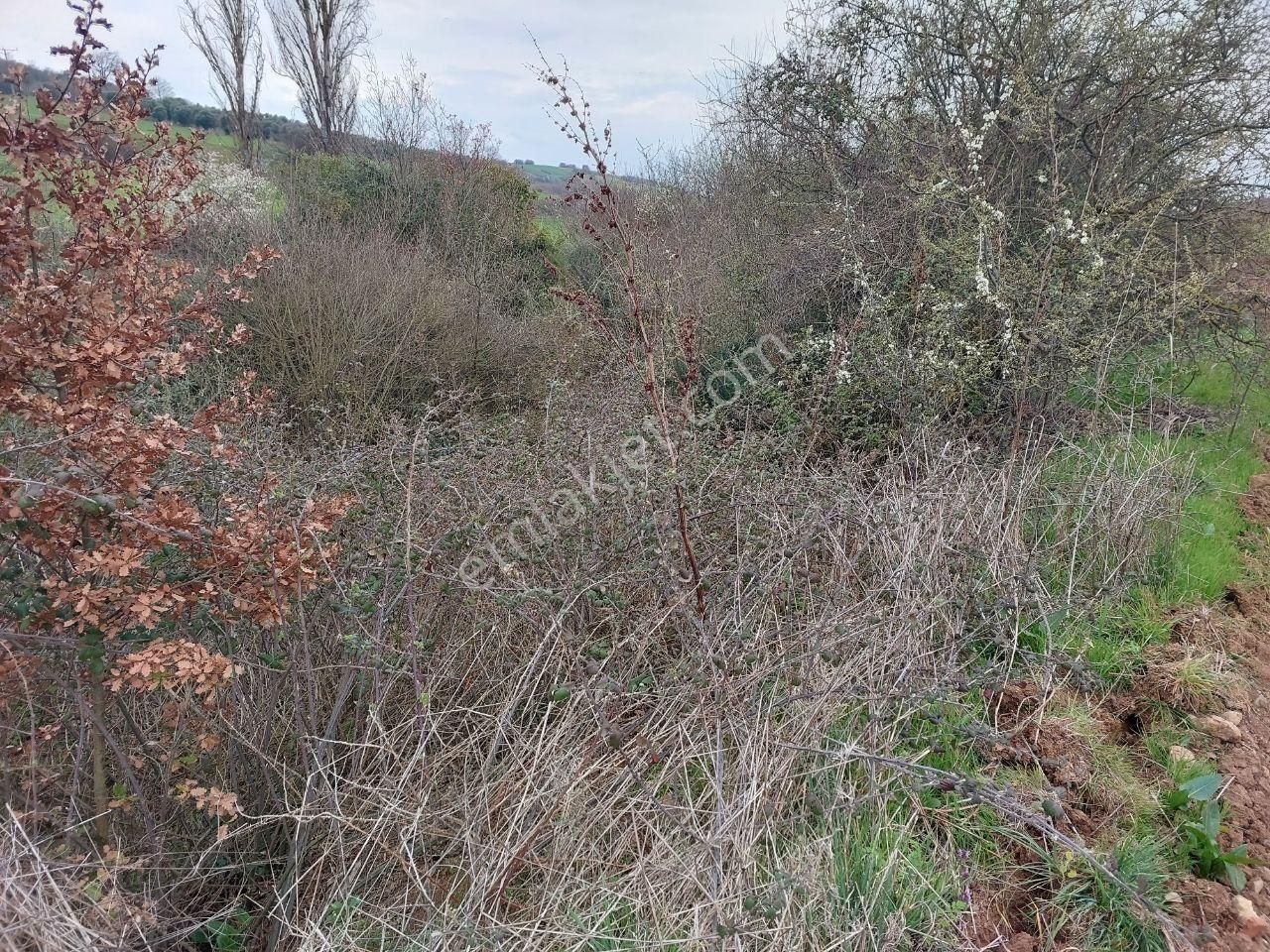 Bursayenişehir Dereköy,de Acil Satılık Yolusuyu Olan 9350m2 Tarla - Görsel 8