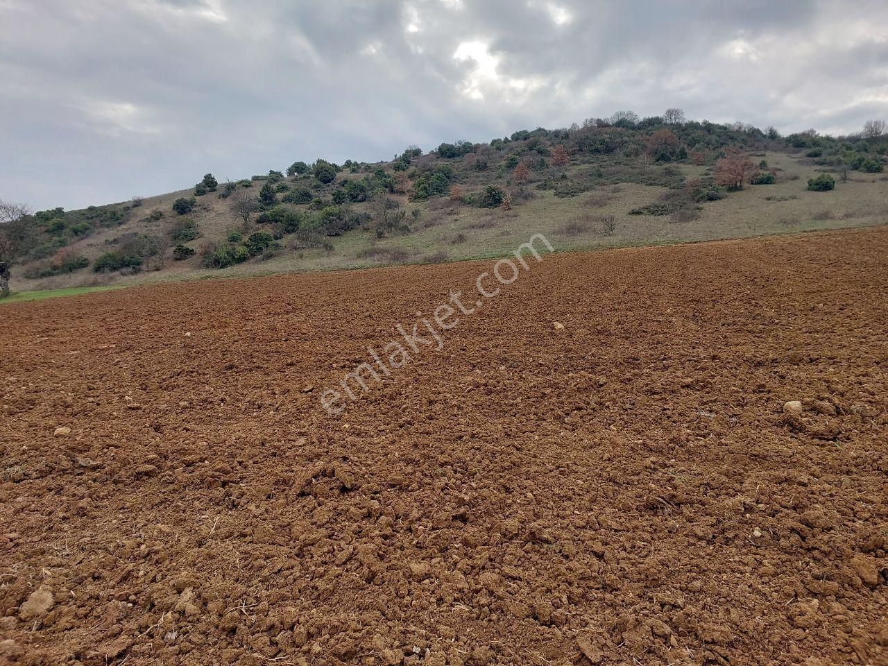 Bursayenişehir Dereköy,de Acil Satılık Yolusuyu Olan 9350m2 Tarla - Görsel 9