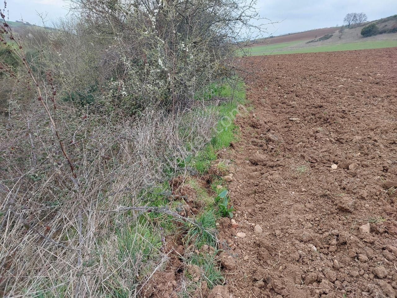 Bursayenişehir Dereköy,de Acil Satılık Yolusuyu Olan 9350m2 Tarla - Görsel 3