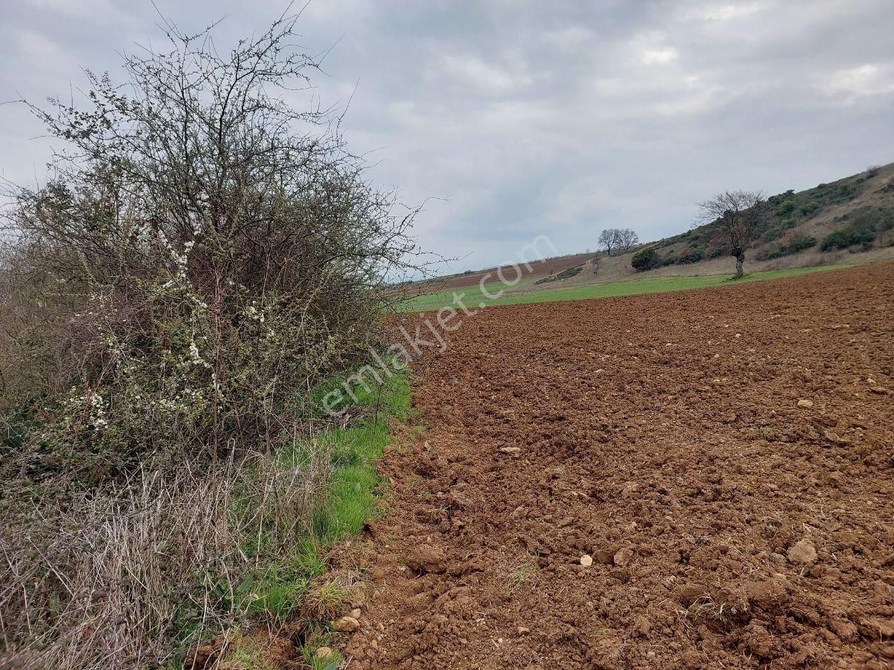 Bursayenişehir Dereköy,de Acil Satılık Yolusuyu Olan 9350m2 Tarla - Görsel 4