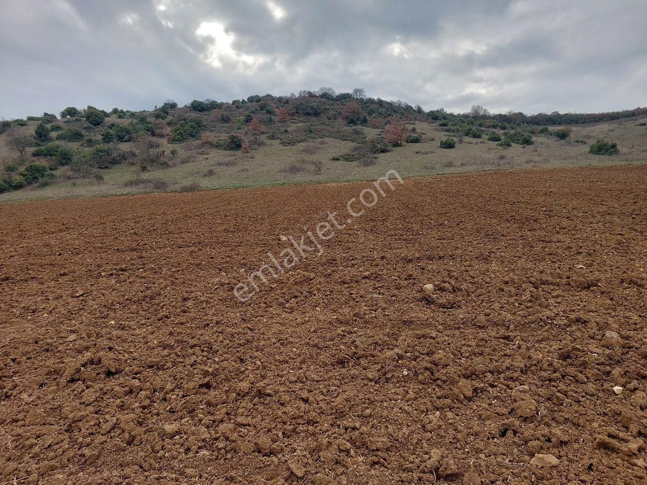 Yenişehir Dereköy Satılık Tarla Bursayenişehir Dereköy,de Acil Satılık Yolusuyu Olan 9350m2 Tarla