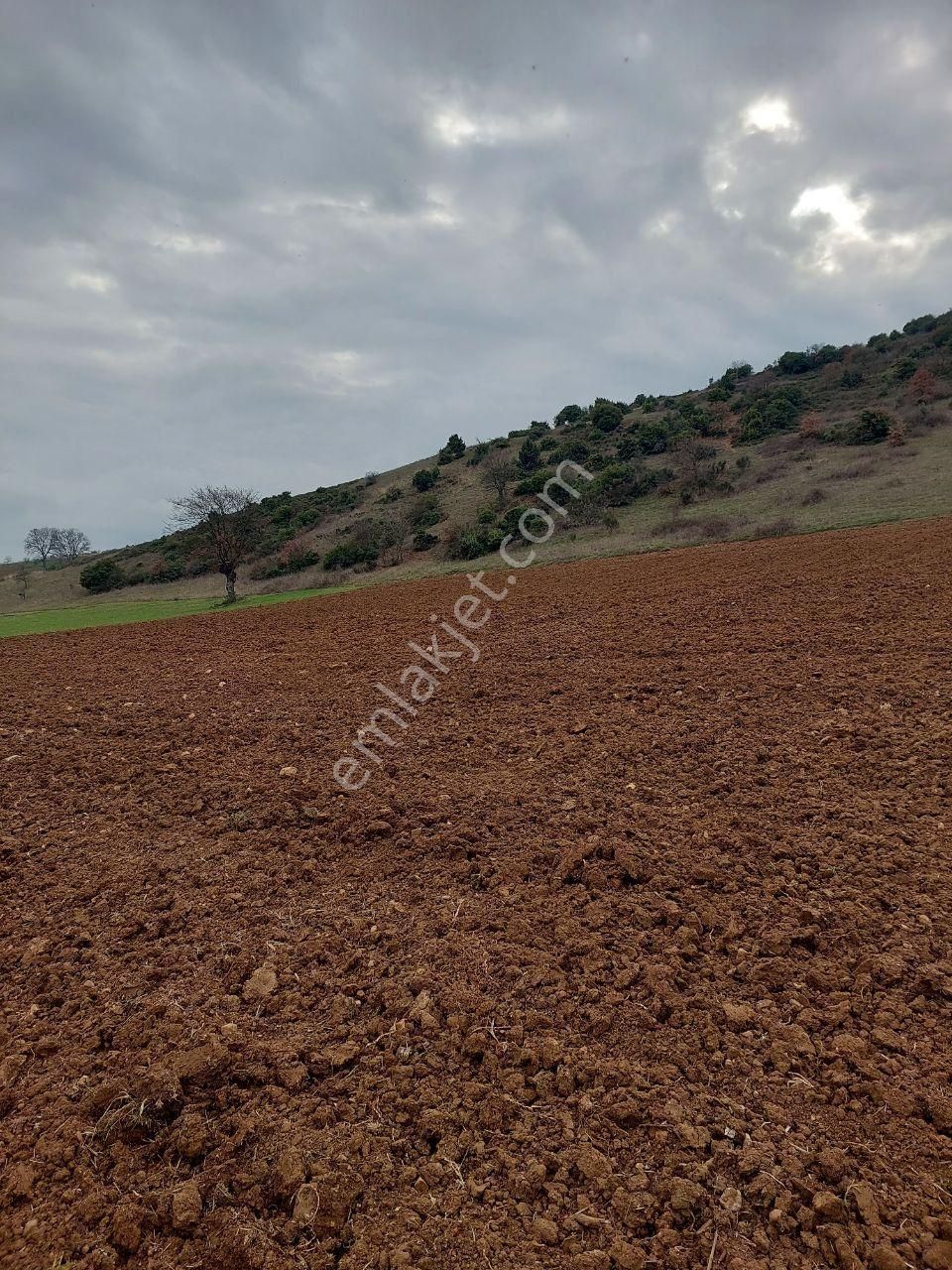 Bursayenişehir Dereköy,de Acil Satılık Yolusuyu Olan 9350m2 Tarla - Görsel 2