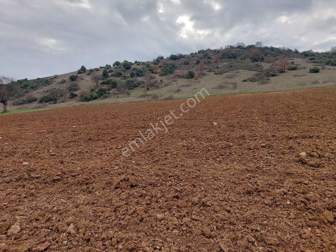 Bursayenişehir Dereköy,de Acil Satılık Yolusuyu Olan 9350m2 Tarla - Görsel 7