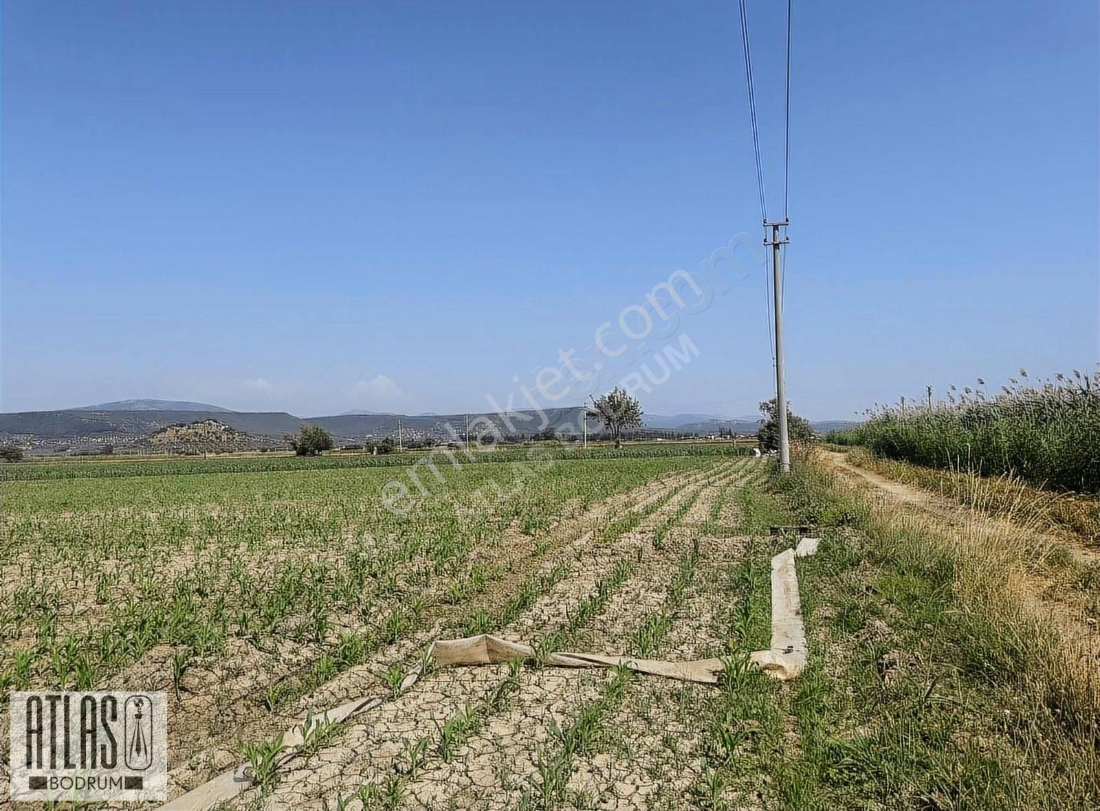 Milas Koru Satılık Tarla Atlas Bodrum'dan Bodrum Karayoluna Yakın Konumlu Satılık Tarla