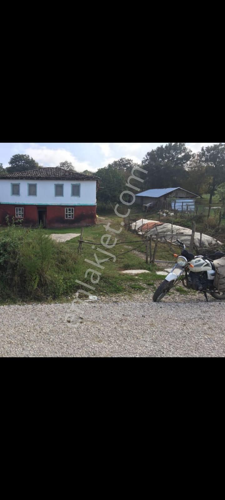 Sahibinden Balıkesir / Manyas / Işıklar Mh. 772 M2 Müstakil Ev - Görsel 5