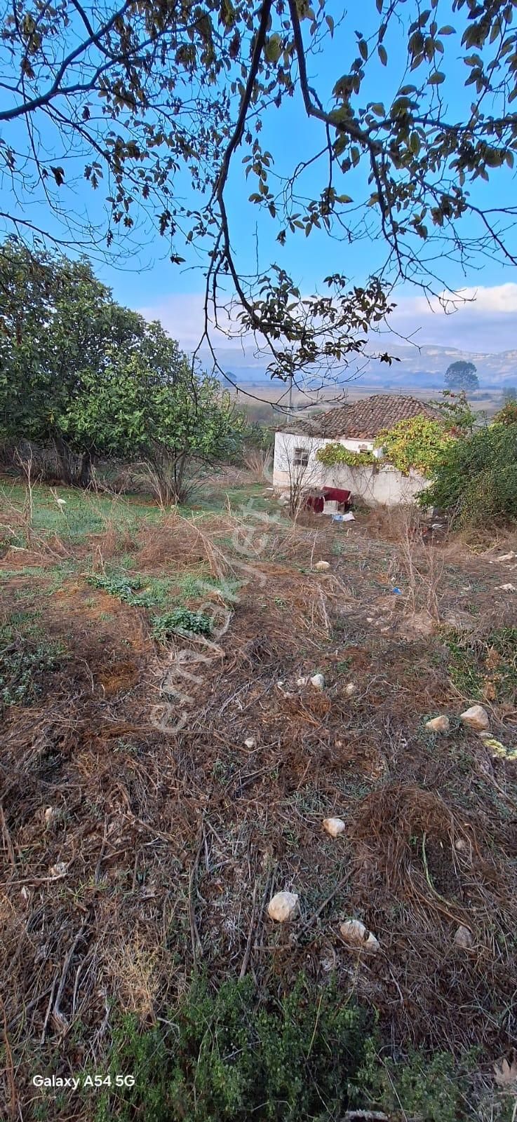 Sahibinden Balıkesir / Manyas / Işıklar Mh. 772 M2 Müstakil Ev - Görsel 6