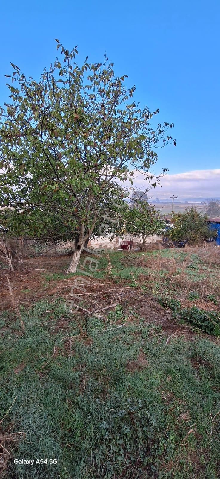 Sahibinden Balıkesir / Manyas / Işıklar Mh. 772 M2 Müstakil Ev - Görsel 7