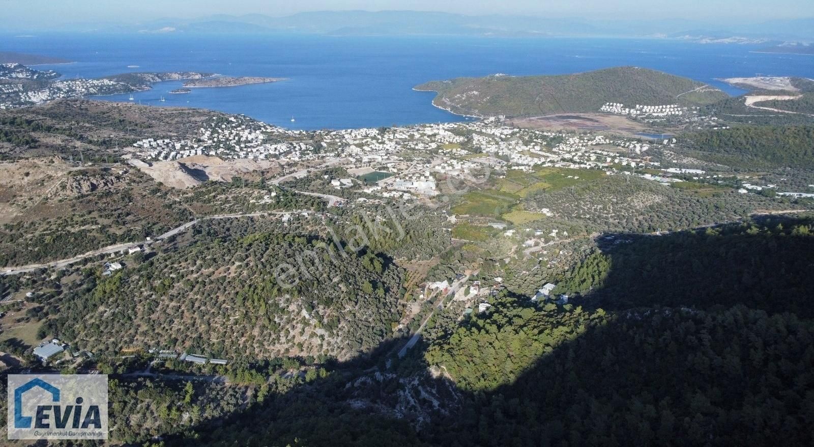 Bodrum Gölköy Satılık Zeytinlik Bodrum Gölköy'de Satılık 2.584 M2 Zeytinlik