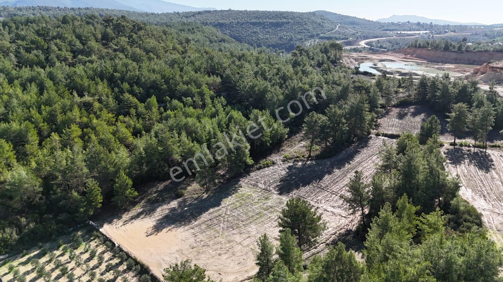 Seydikemer Çukurincir Satılık Tarla Goldhouse Dan Satılık Tarla Doğa İle İç İçe Harika Havası İle 4736 M2