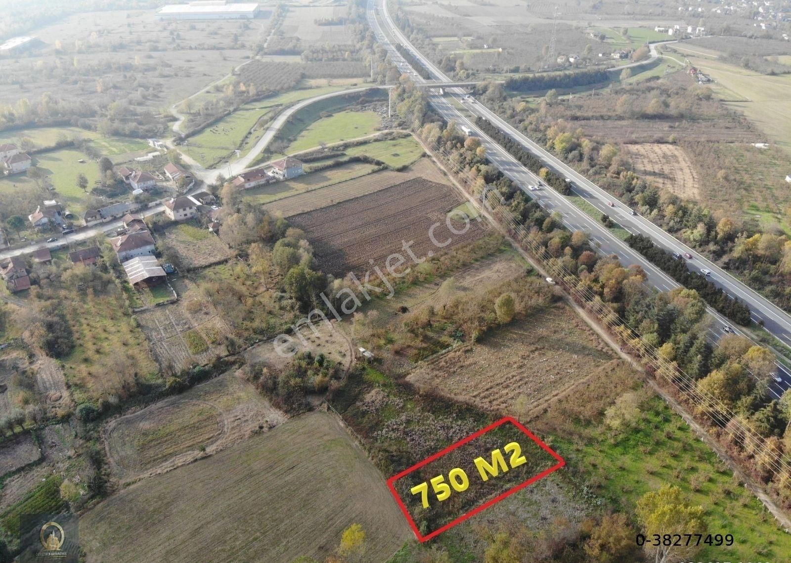 Düzce Merkez Muradiye Mengencik Köyü Satılık Tarla Öğretmen'den Araç Takaslı Acil Satılık Muradiye Mengencikte 750 M2 Otobanın Dibinde