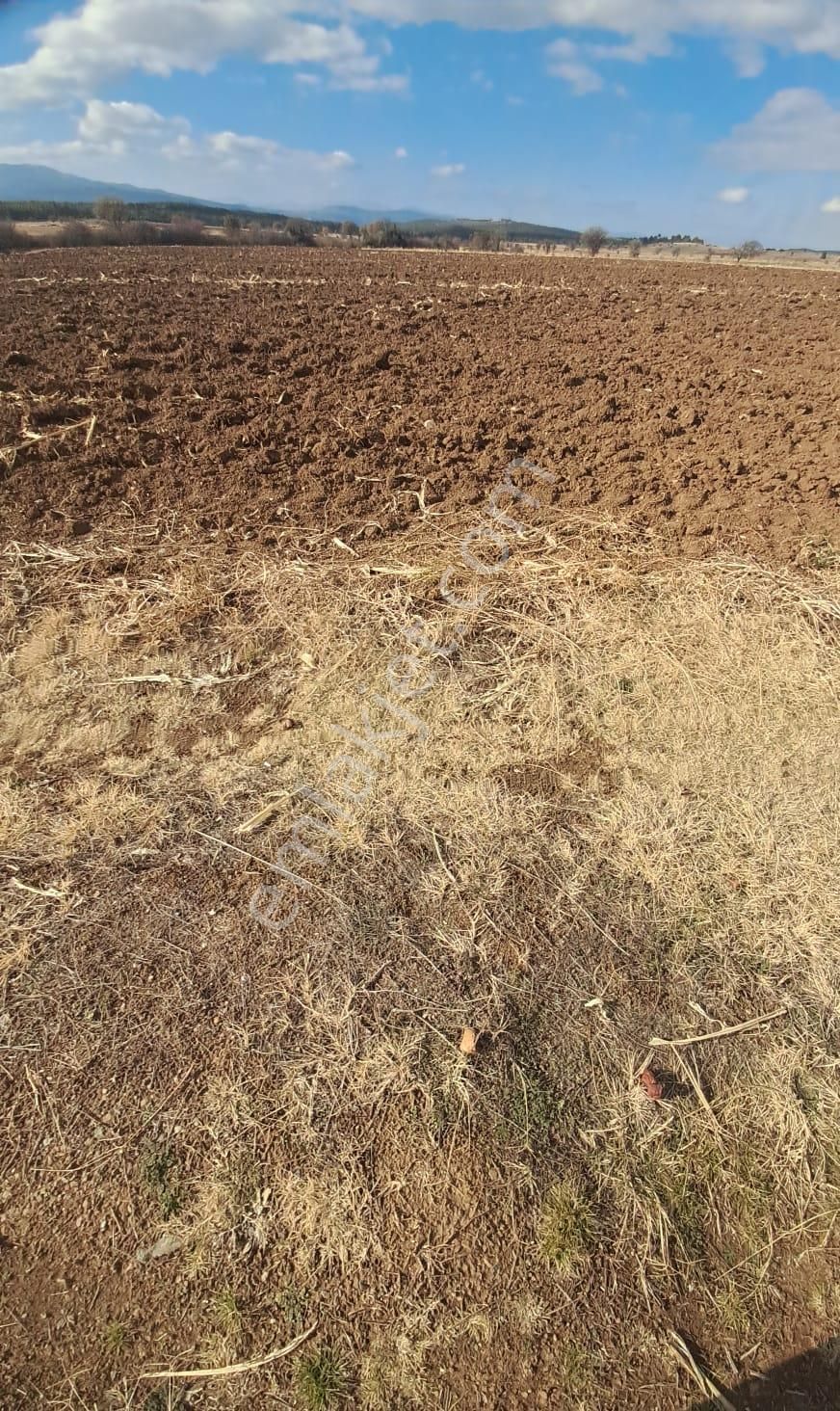 Ayşahtan Burdur Çavdır'da Antalya Yolu Üzeri Satılık Tarla - Görsel 23