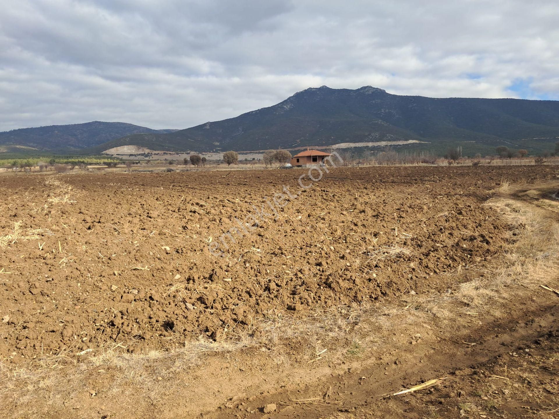 Ayşahtan Burdur Çavdır'da Antalya Yolu Üzeri Satılık Tarla - Görsel 4