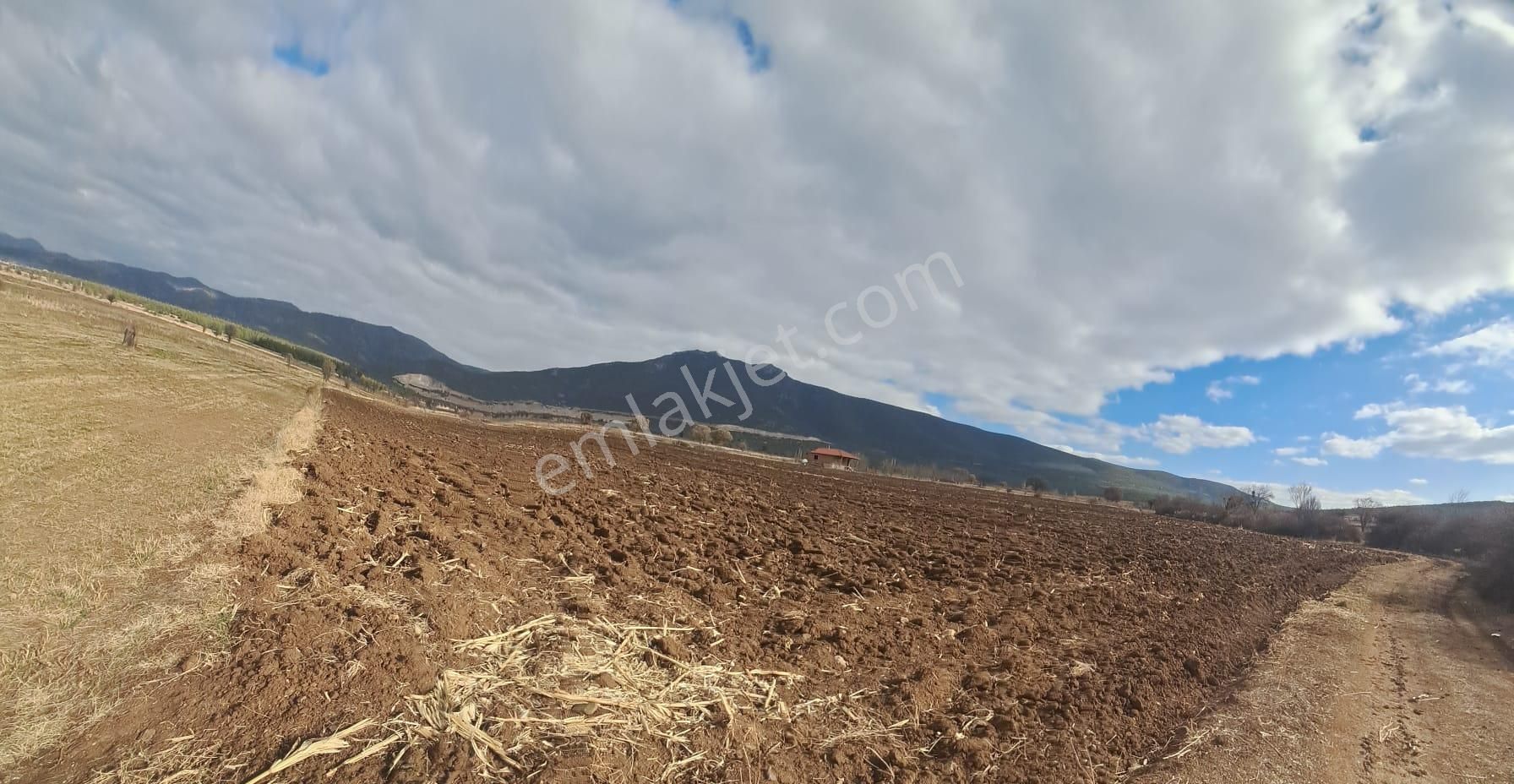 Ayşahtan Burdur Çavdır'da Antalya Yolu Üzeri Satılık Tarla - Görsel 3