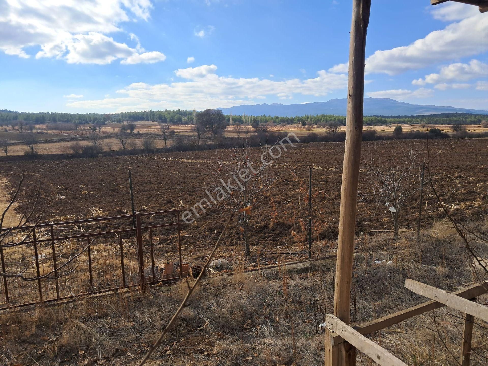 Ayşahtan Burdur Çavdır'da Antalya Yolu Üzeri Satılık Tarla - Görsel 13