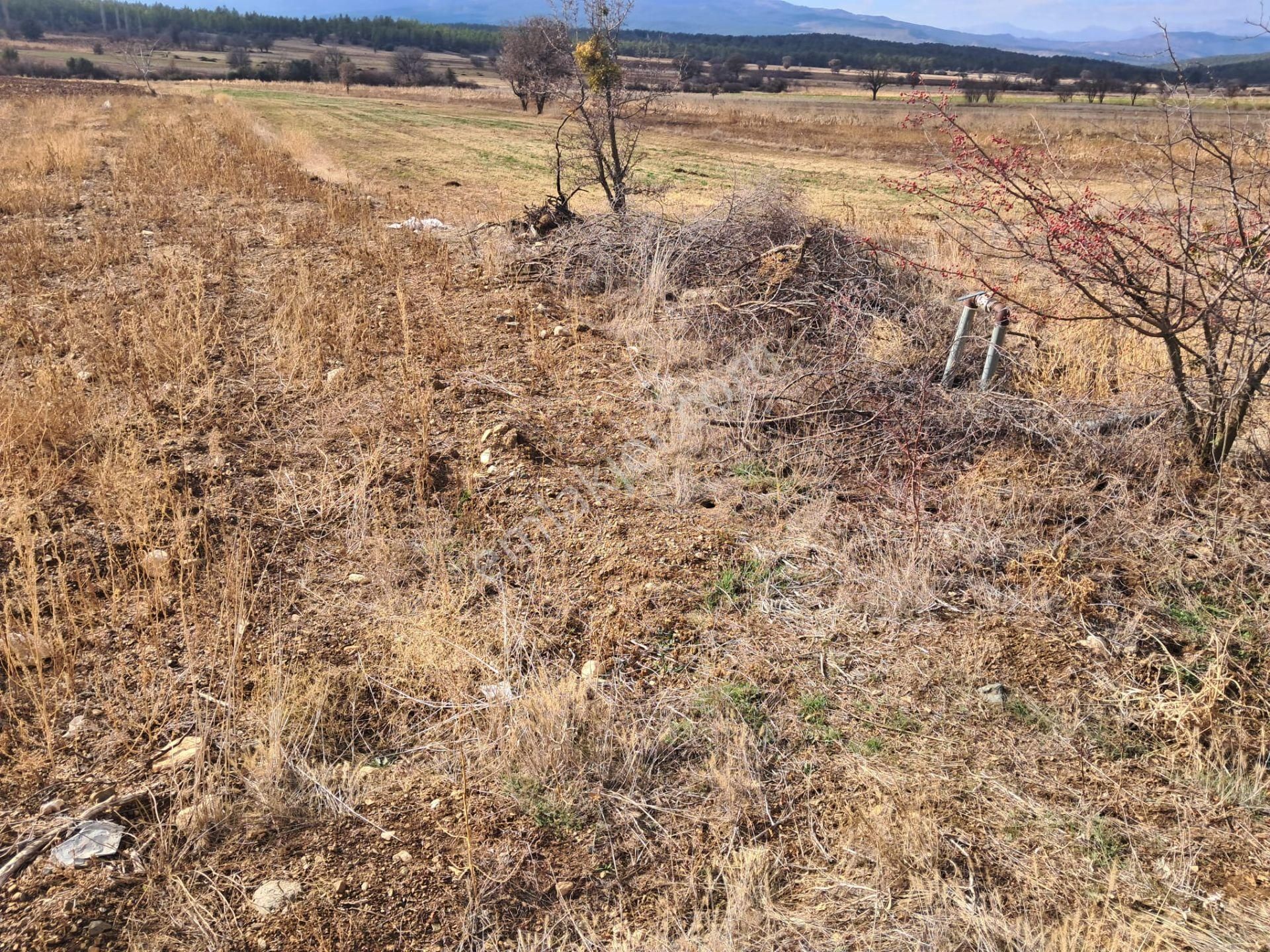 Ayşahtan Burdur Çavdır'da Antalya Yolu Üzeri Satılık Tarla - Görsel 11