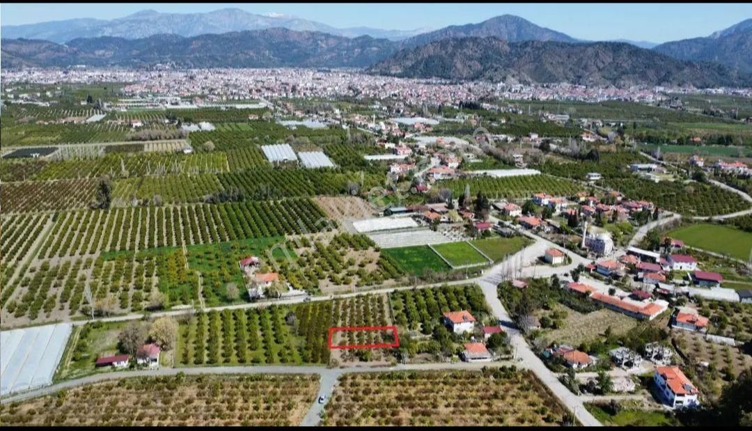 Satılık Arsa Dalaklida
