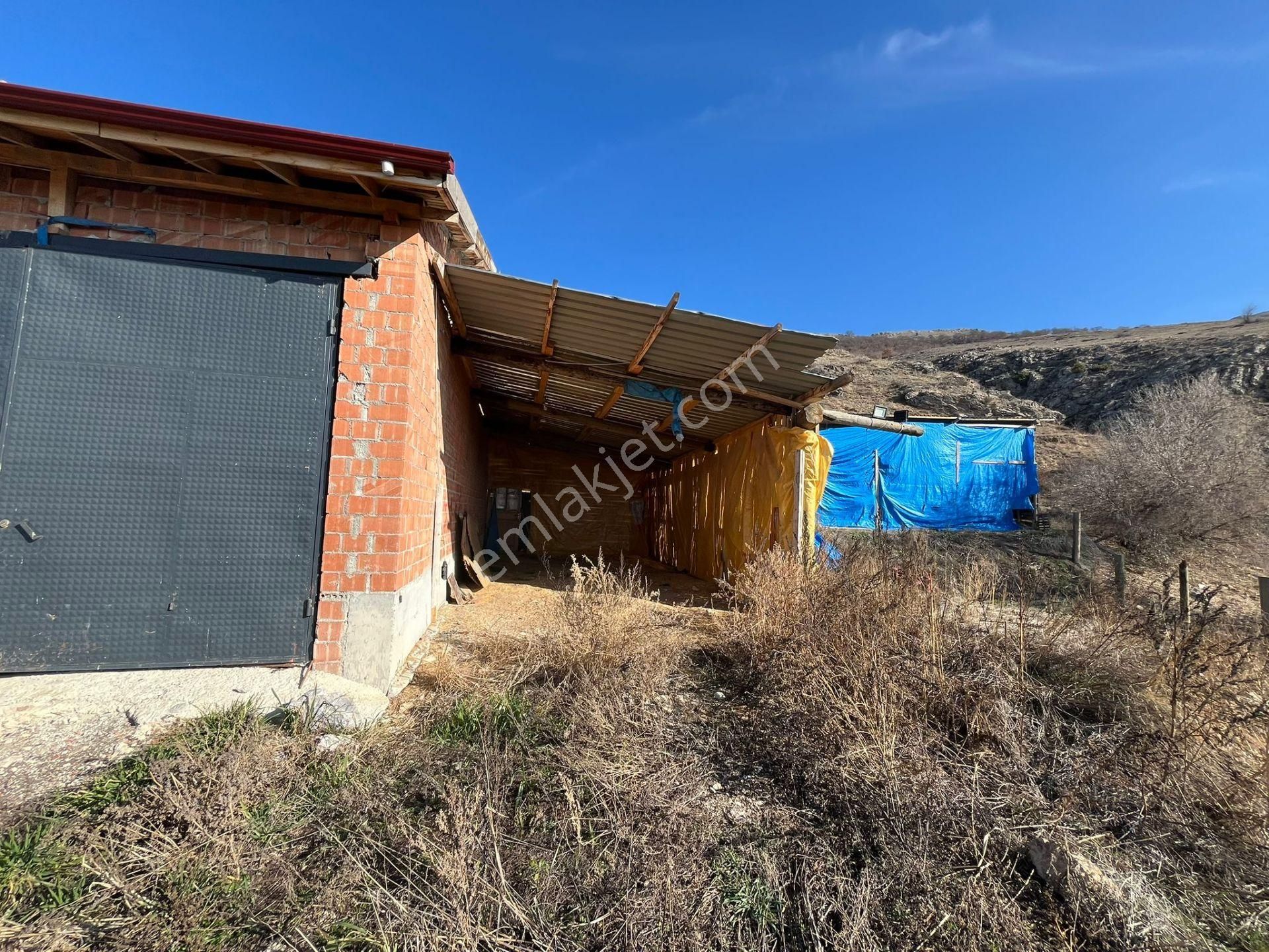 Satılık Çiftlik ...çoruma 28 Km Mesafede Çobandivan Köyünde - Görsel 25