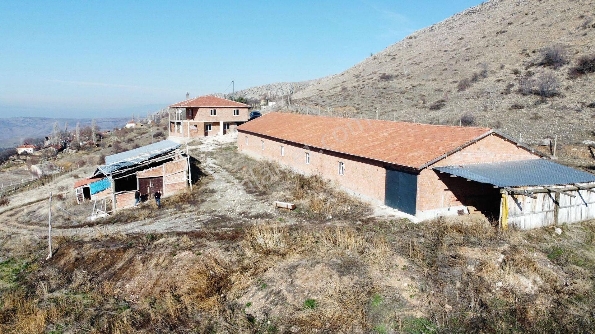 Satılık Çiftlik ...çoruma 28 Km Mesafede Çobandivan Köyünde - Görsel 19