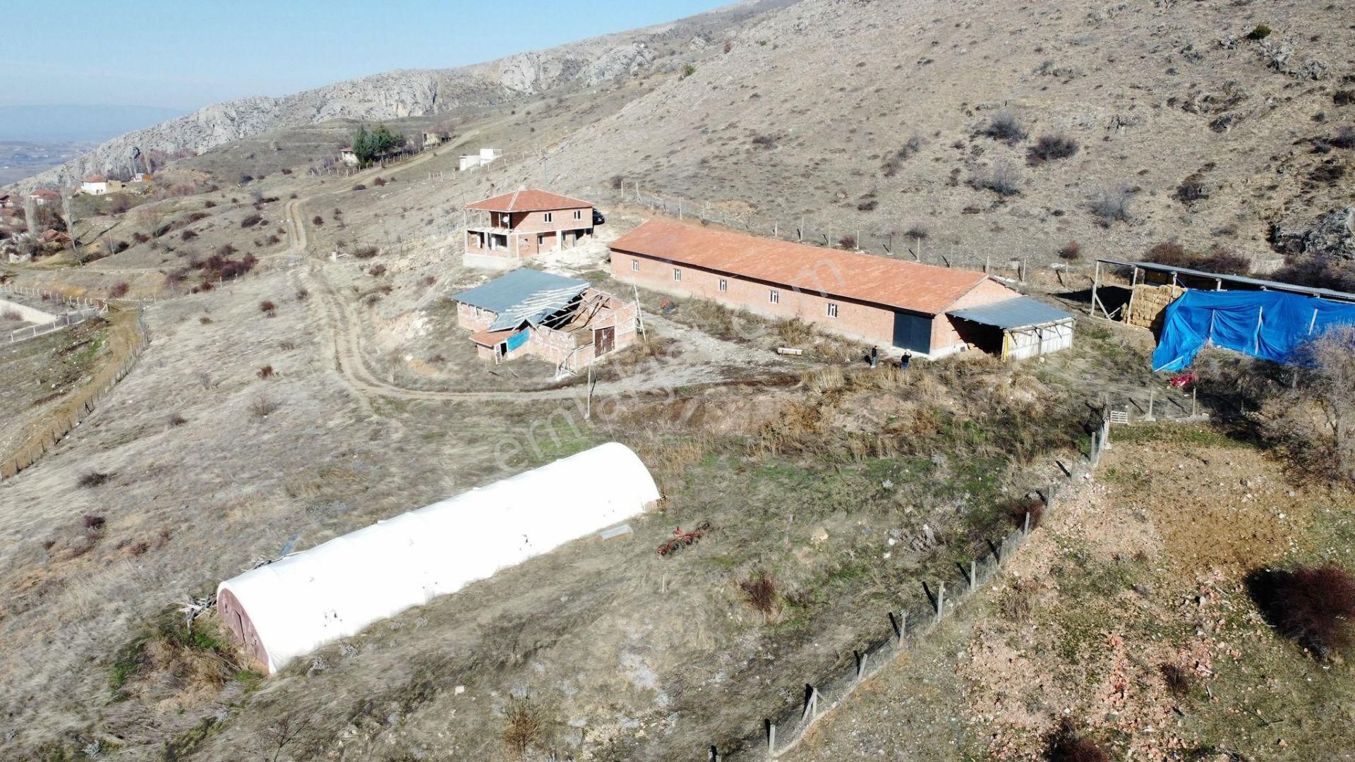 Satılık Çiftlik ...çoruma 28 Km Mesafede Çobandivan Köyünde - Görsel 13